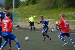 stall2012ogmidsund 068